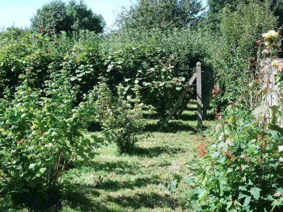 Le Clos Des Tilleuls La Vendelée Zewnętrze zdjęcie