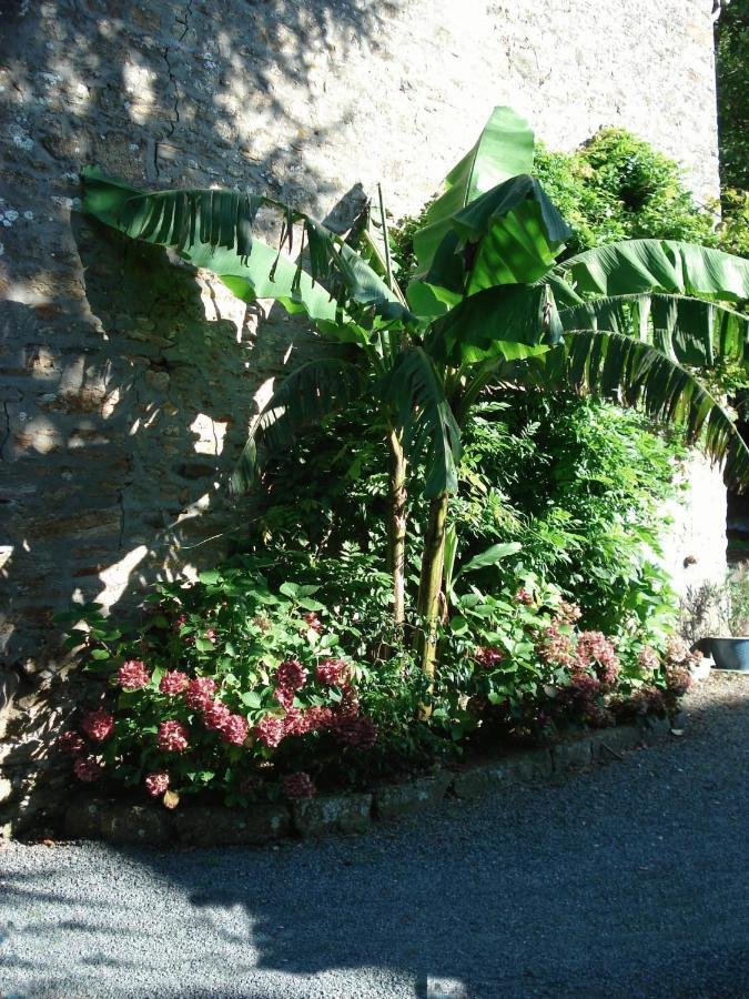 Le Clos Des Tilleuls La Vendelée Zewnętrze zdjęcie